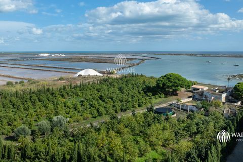 Farm i Tavira, Faro, Tavira - € 2.500.000 | Ref: QuintaRiaFormos - foto 6
